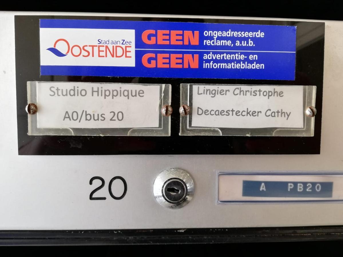 Studio Hippique Οστένδη Εξωτερικό φωτογραφία
